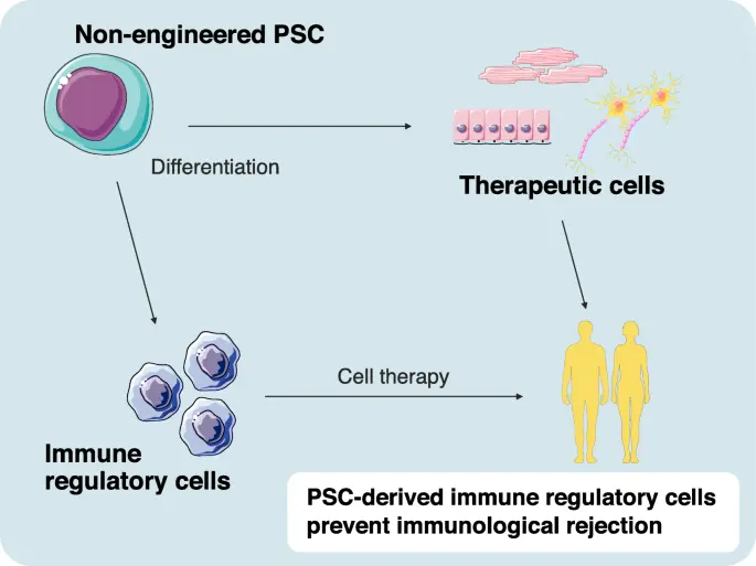 Rigetto delle cellule staminali