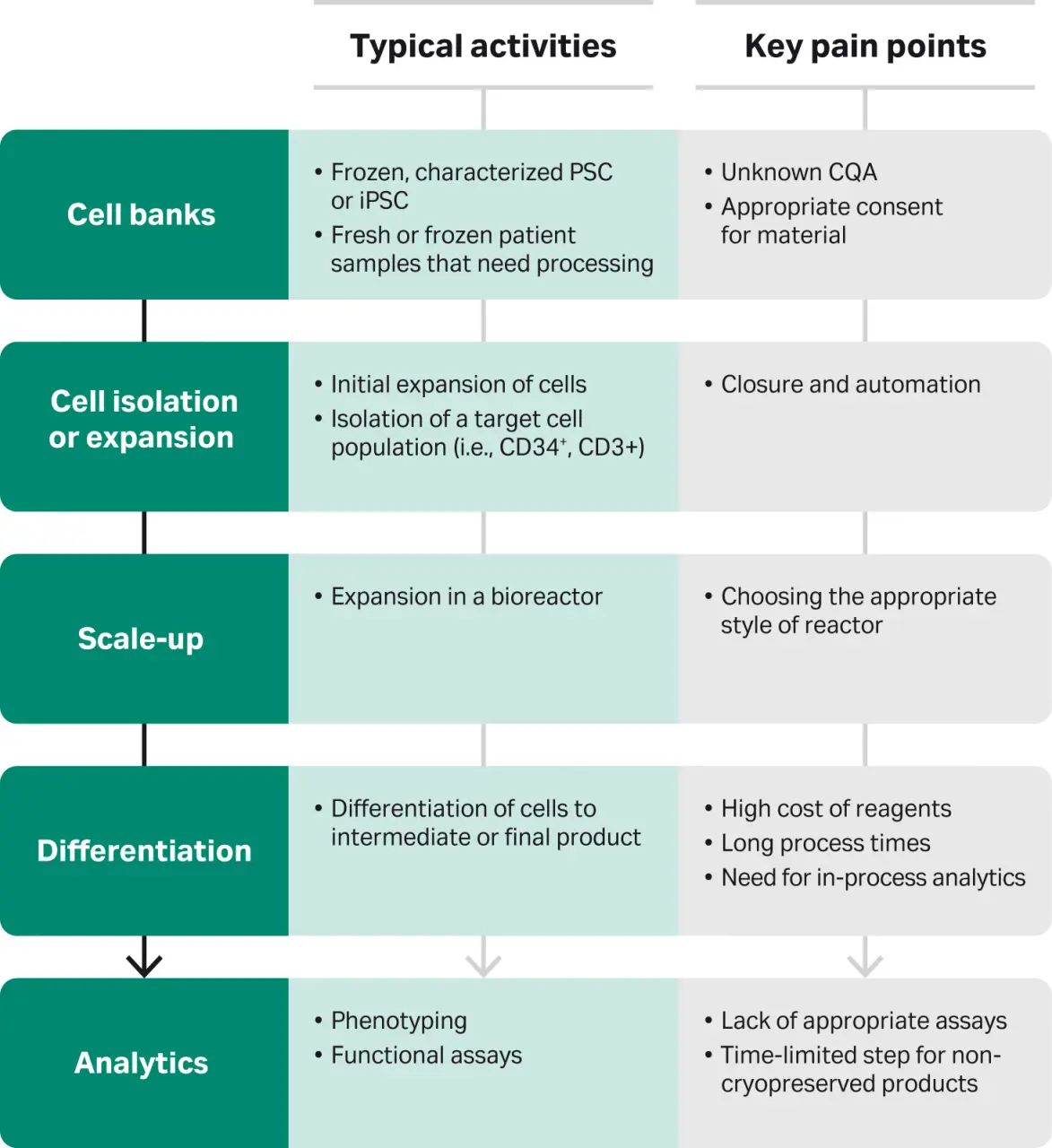 Un diagramma che mostra il processo di conservazione delle cellule staminali ed evidenzia le aree in cui possono sorgere questioni di proprietà e diritti di accesso