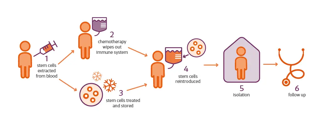 Sperimentazioni cliniche per le cellule staminali