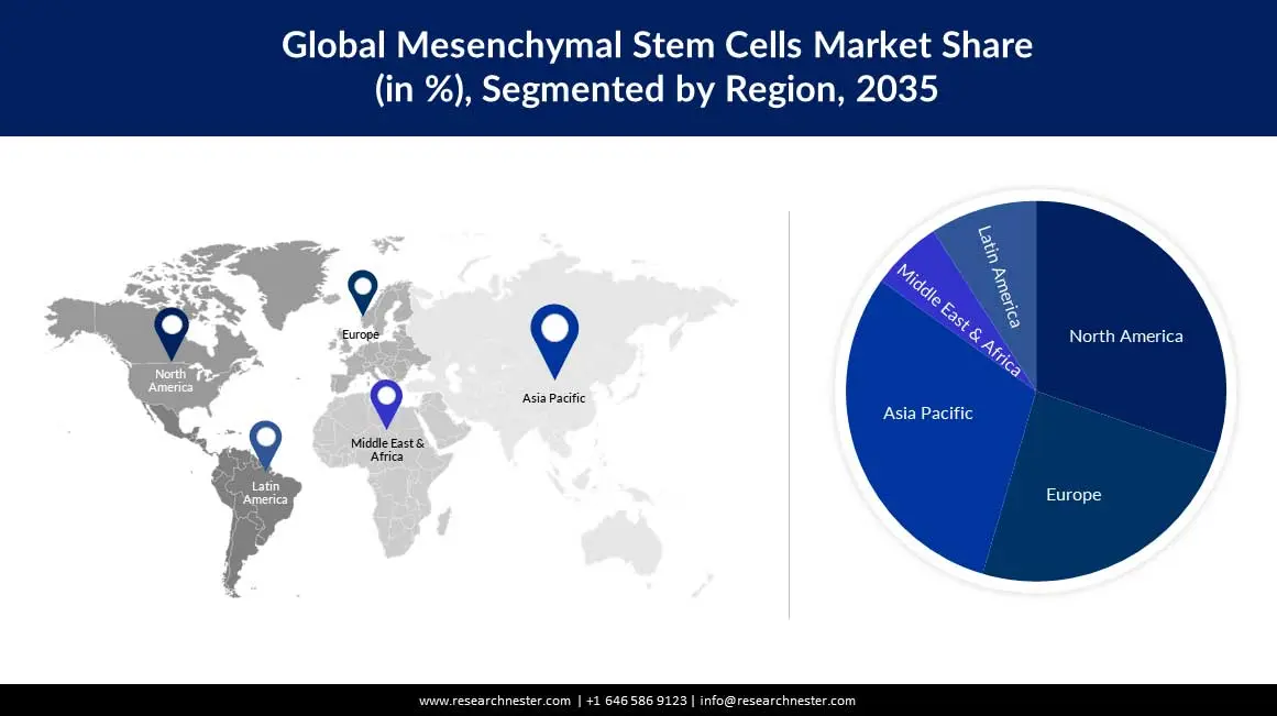 Una mappa che evidenzia le diverse leggi che regolano la ricerca sulle cellule staminali nel mondo