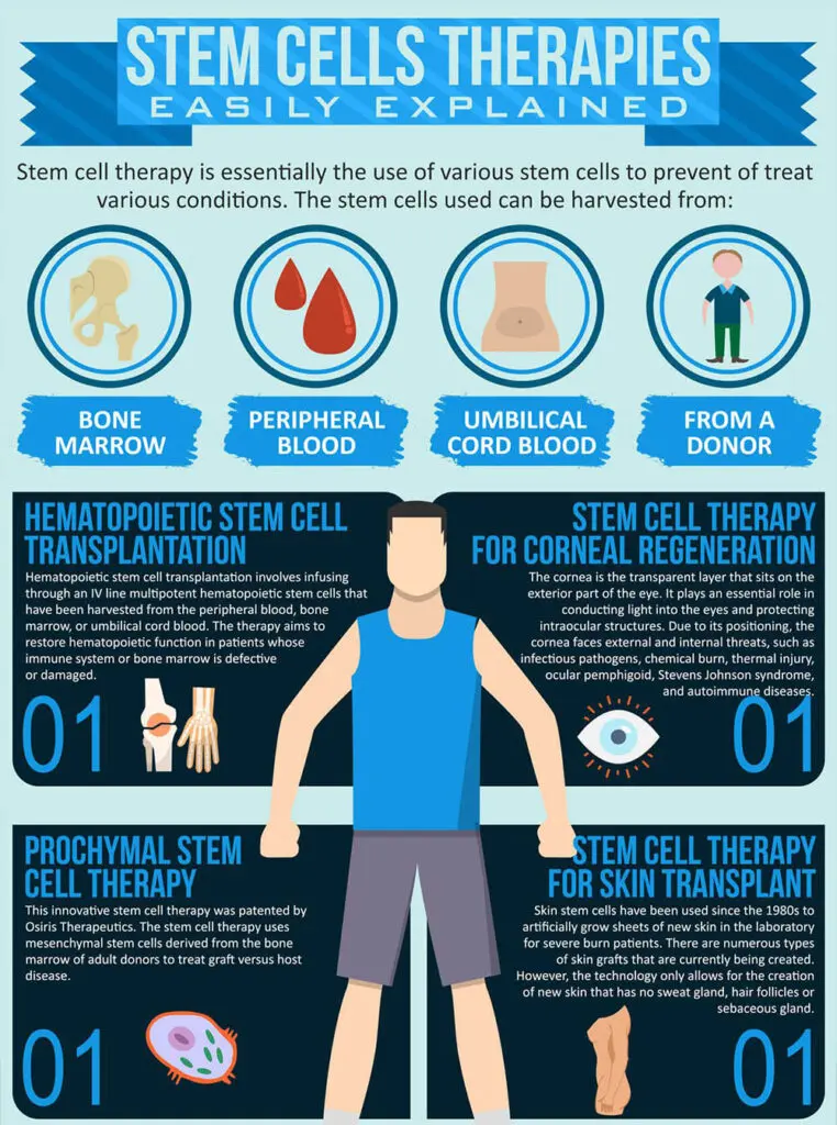 aspetti etici e regolatori del trattamento con cellule staminali