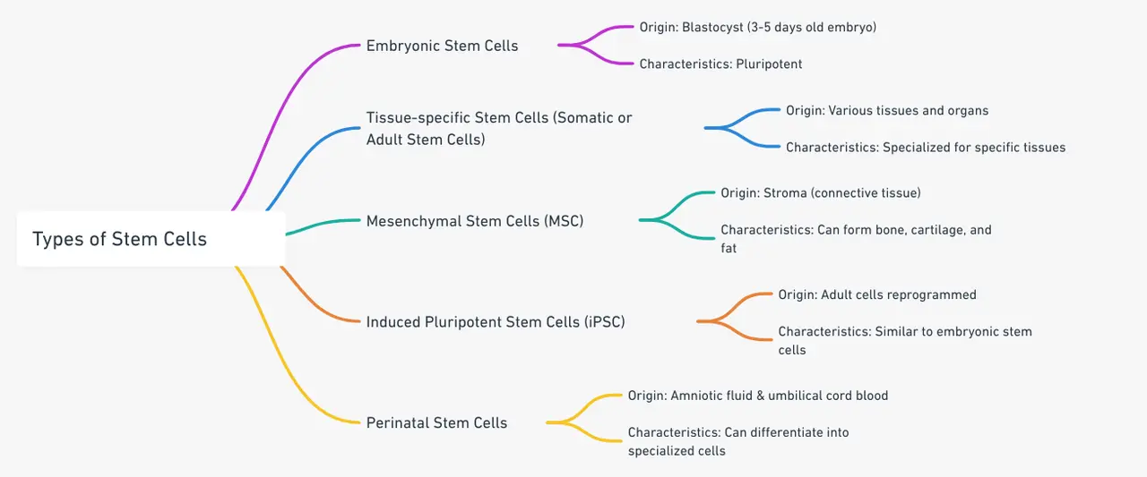 Different typres of stem cell