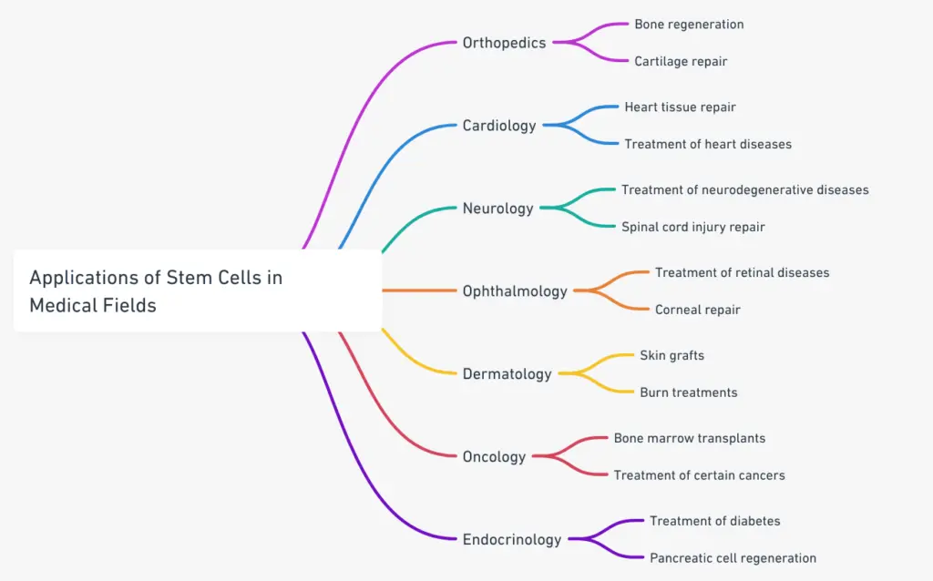L'applicazione delle cellule staminali in vari campi medici