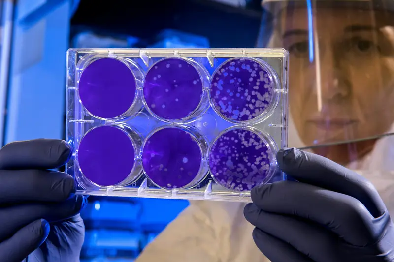 Terapia con cellule staminali contro l'invecchiamento