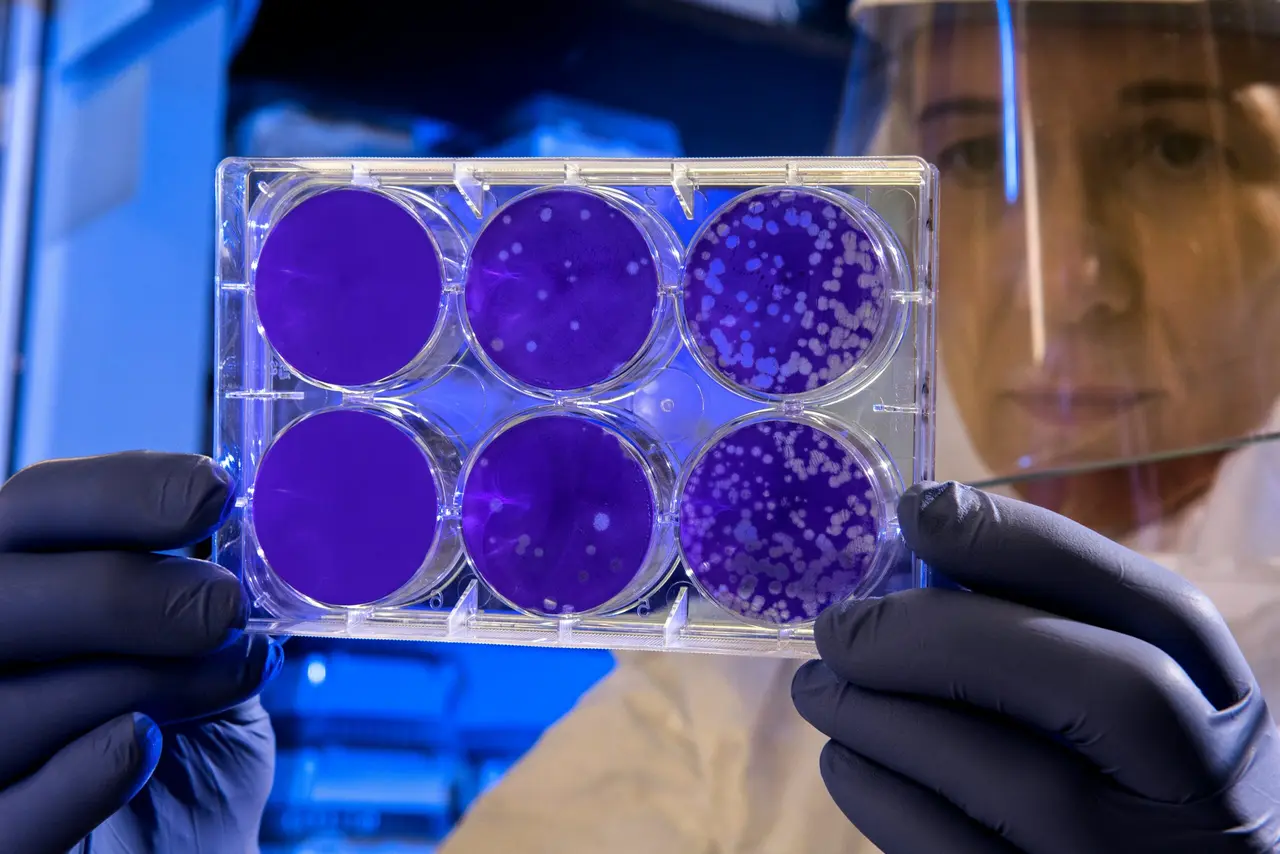Terapia con cellule staminali contro l'invecchiamento