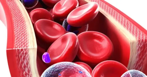 Il mese della consapevolezza del sangue del cordone ombelicale: perché è importante?