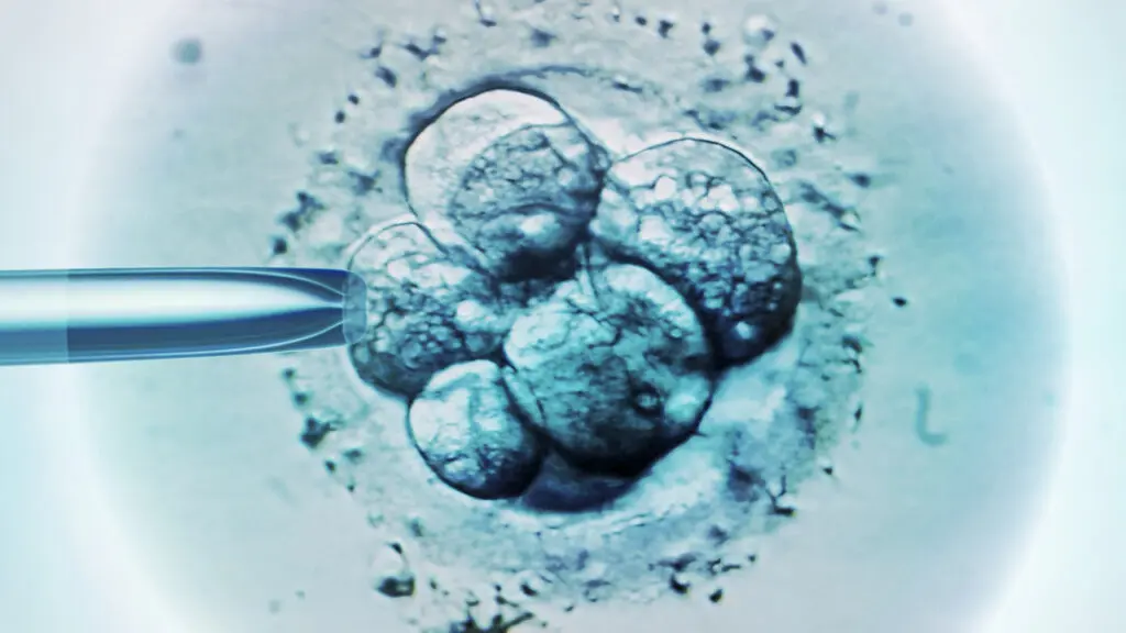Una rappresentazione visiva di una cellula staminale embrionale