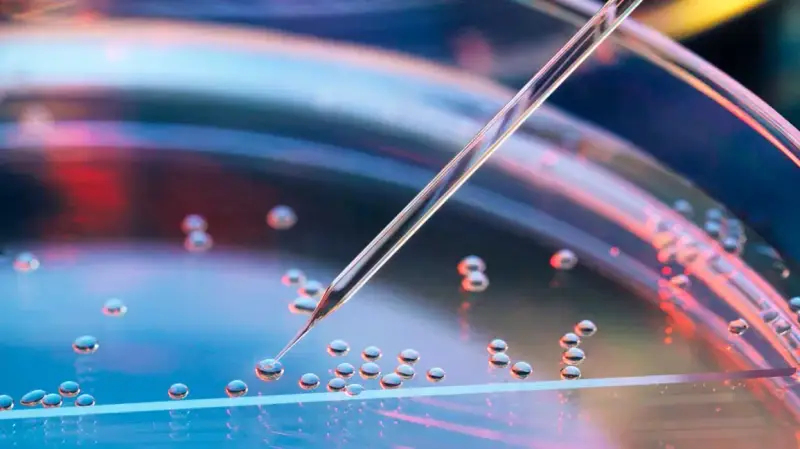 Introduzione alla terapia con cellule staminali