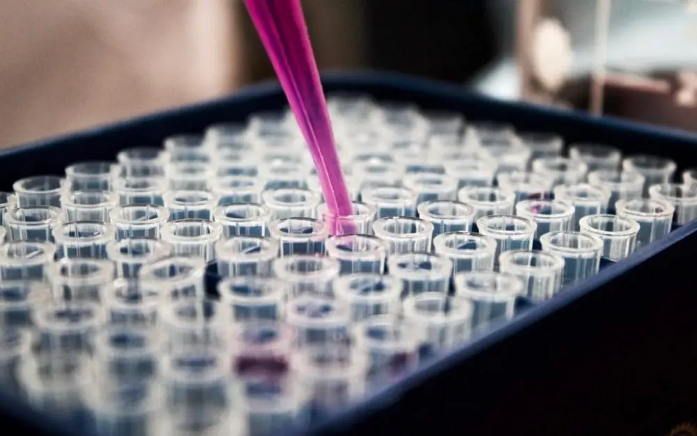 Il potere curativo delle cellule staminali: una panoramica
