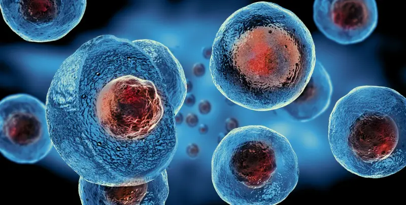 Il panorama globale della terapia con cellule staminali
