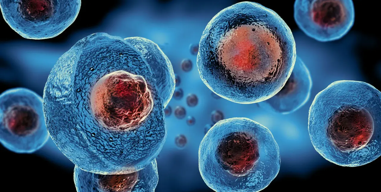Il panorama globale della terapia con cellule staminali