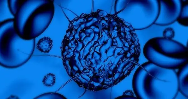 I sostenitori delle cellule staminali adulte spingono per i trattamenti