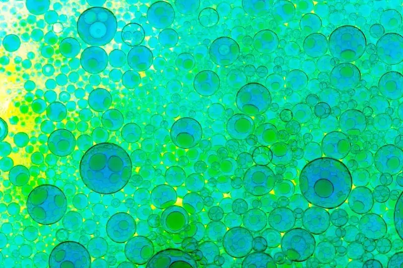 Dieci cose da sapere sulla terapia con cellule staminali