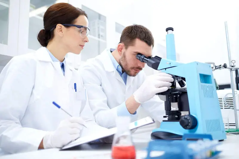 Tecnologie delle cellule staminali: Il futuro della medicina rigenerativa
